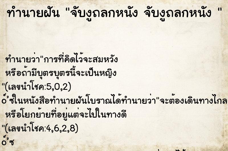 ทำนายฝันทำนายฝันจับงูถลกหนังจับงูถลกหนัง